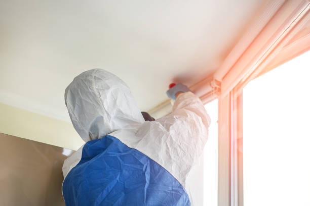 Why You Should Choose Our Mold Remediation Services in Vancouver, WA