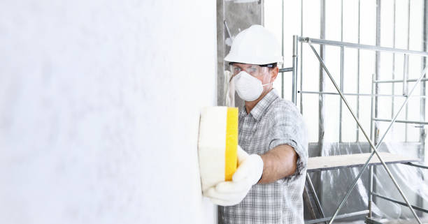 Environmental Consulting for Mold Prevention